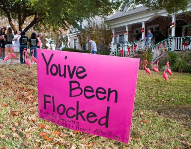 Community News and Events - Have You Been "Flocked" Yet?!  Huntsville TX Home...