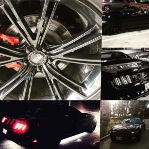 @mustangmari, @badassmustang @mustangmari, @badassmustang
