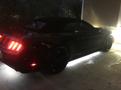 @mustangmari, @badassmustang