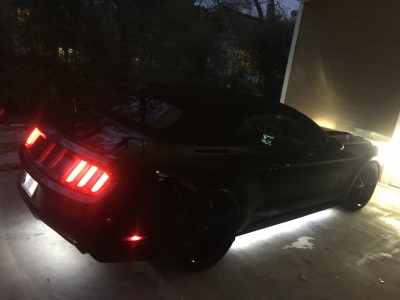 @mustangmari, @badassmustang