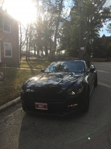 #mustangmari, #badassmustang, #Thisismymustang #mustangmari, #badassmustang, #Thisismymustang