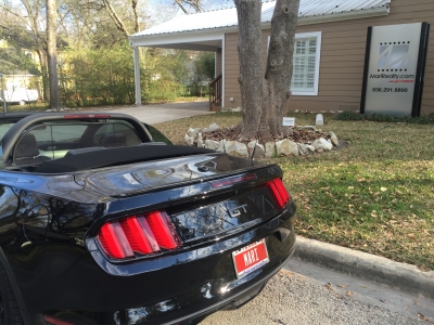 #mustangmari, #badassmustang, #Thisismymustang #mustangmari, #badassmustang, #Thisismymustang
