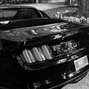 #mustangmari, #badassmustang, #Thisismymustang #mustangmari, #badassmustang, #Thisismymustang