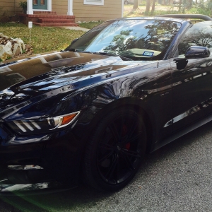 #mustangmari, #badassmustang, #Thisismymustang #mustangmari, #badassmustang, #Thisismymustang