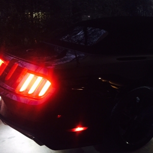 @mustangmari, @badassmustang @mustangmari, @badassmustang