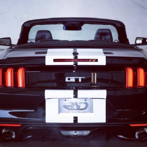 #mustangmari, #badassmustang, #Thisismymustang #mustangmari, #badassmustang, #Thisismymustang