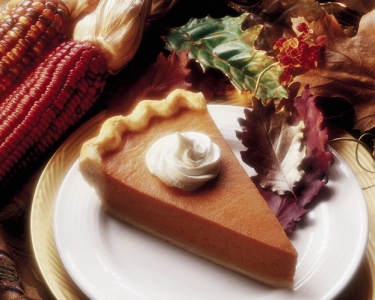 pumpkin pie in the fall in Huntsville TX pumpkin pie in the fall in Huntsville TX