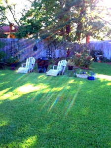 backyard bliss, mari realty, huntsville tx real estate