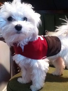 Dirk dressed in his Halloween costume from last year Dirk dressed in his Halloween costume from last year