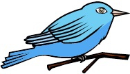 looks like a blue bird tweeting