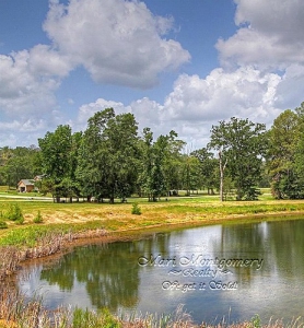 silver lakes known as twin lakes--gorgeous lot